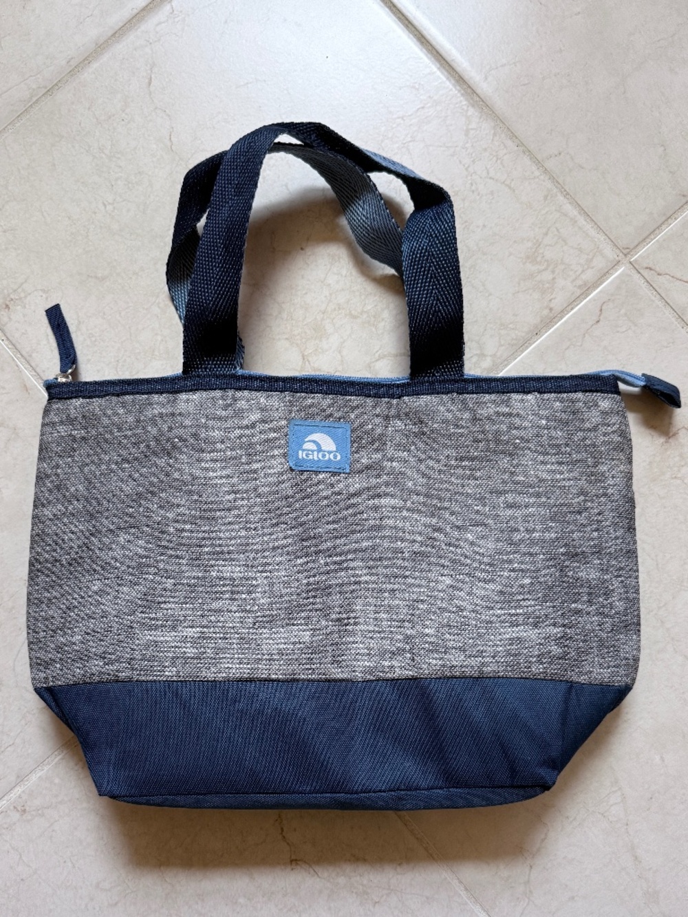 Igloo Everyday Lunch Tote